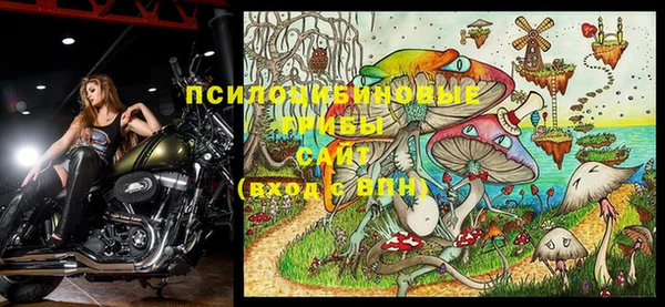 ешки Верея