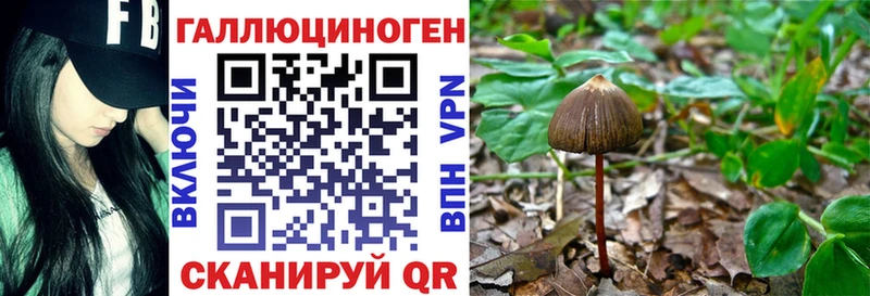 Псилоцибиновые грибы мухоморы  Купить где  Глазов 